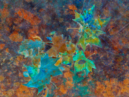 leaf canvas