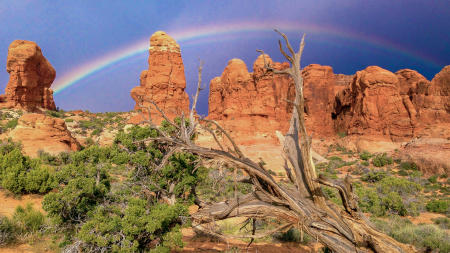rainbow promise
Arches NP