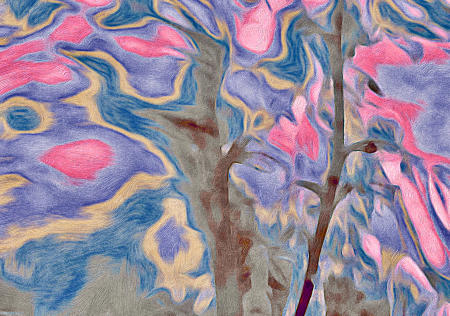 springtree