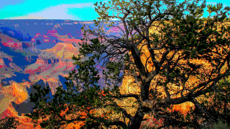 canyon color