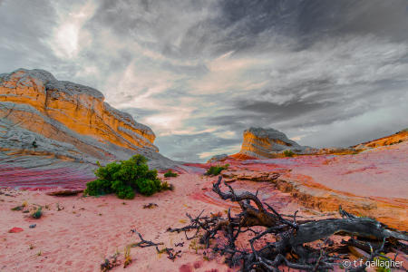pathway to Lollipop Rock White Pocket AZ