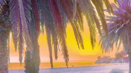 Leadbetter Beach