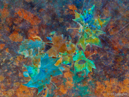 leaf canvas
