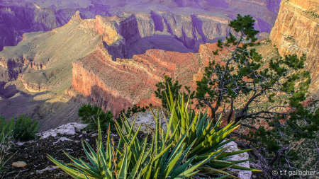 Grand Canyon sundown